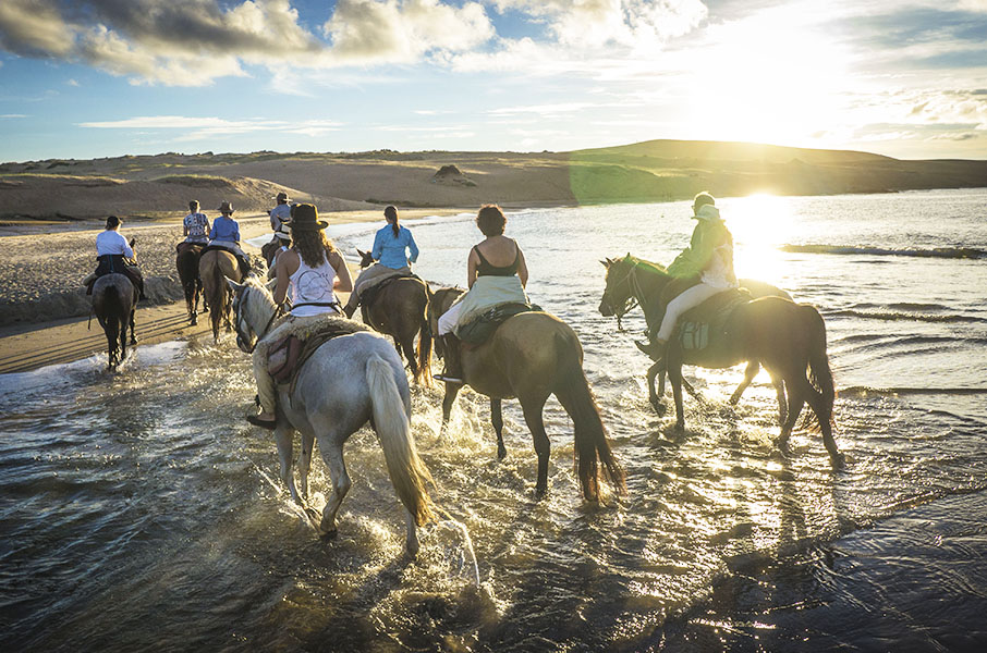 Ranch, Wetlands and Beach Trail, Uruguay Horse Riding Holidays
