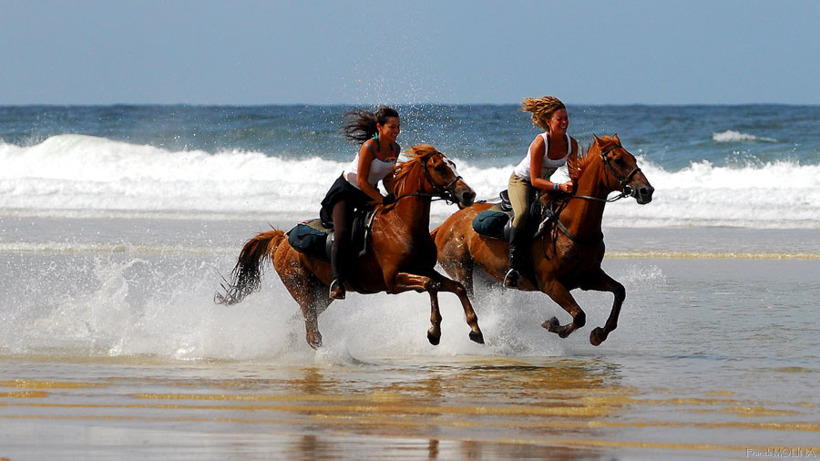 Atlantic Coast Trek Horse Riding Holidays France Unicorn Trails