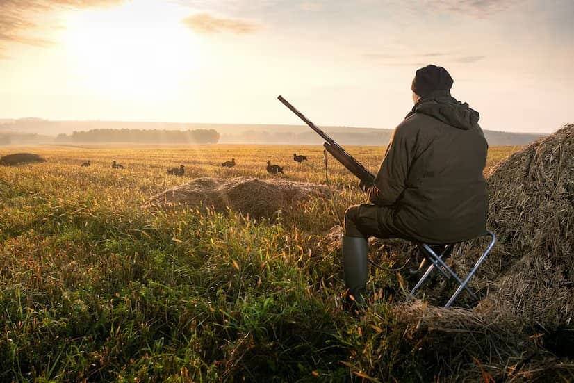 85+ Best & Catchy Hunting Captions For Instagram (2023)