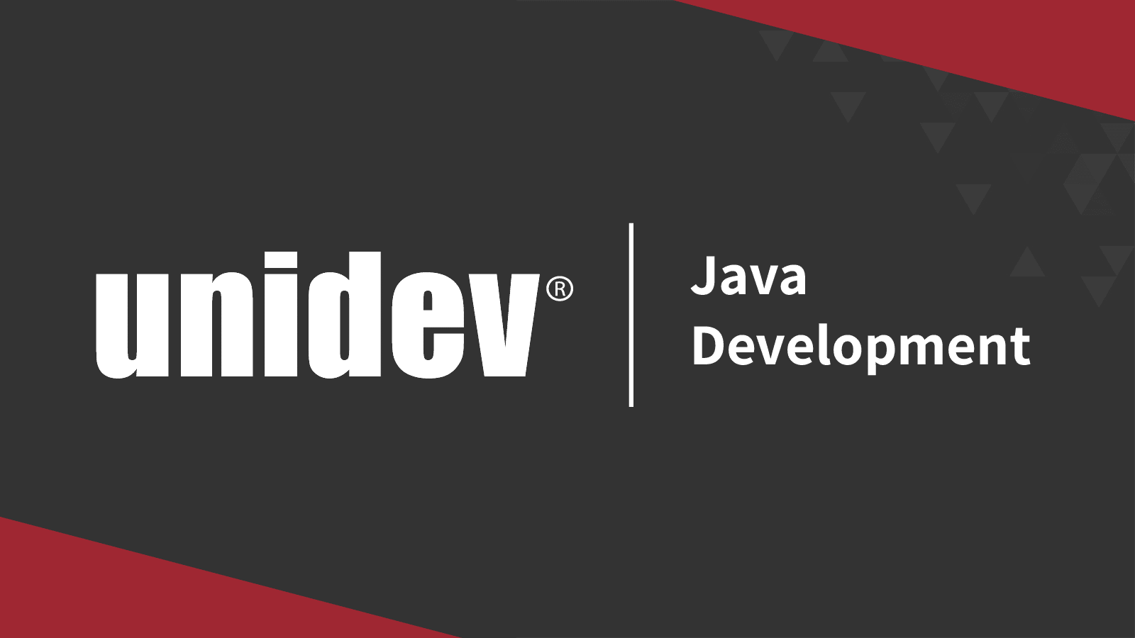 Custom Java Development Company Unidev