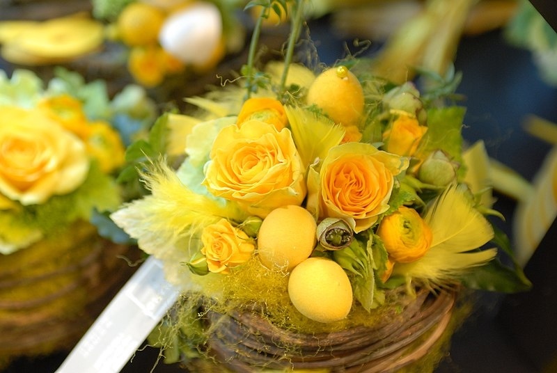 Yellow Flower Meaning & Symbolism + Types & When to Give