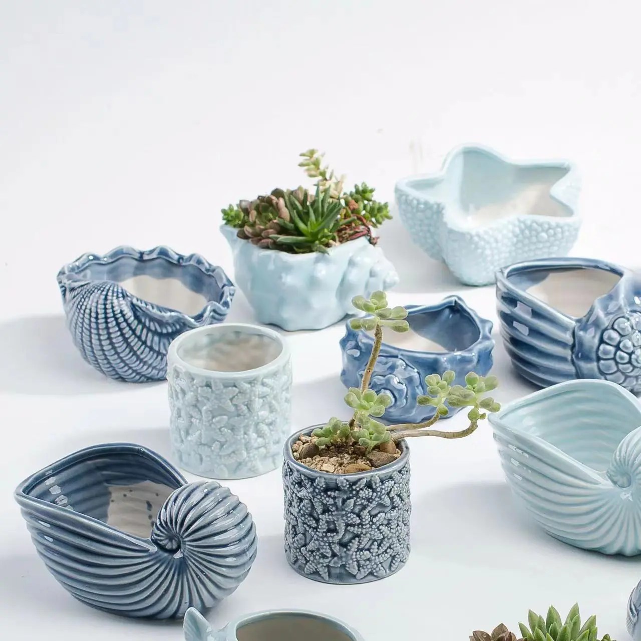 Wholesale Ocean Series Ceramic Succulent Flower Pot Union Source