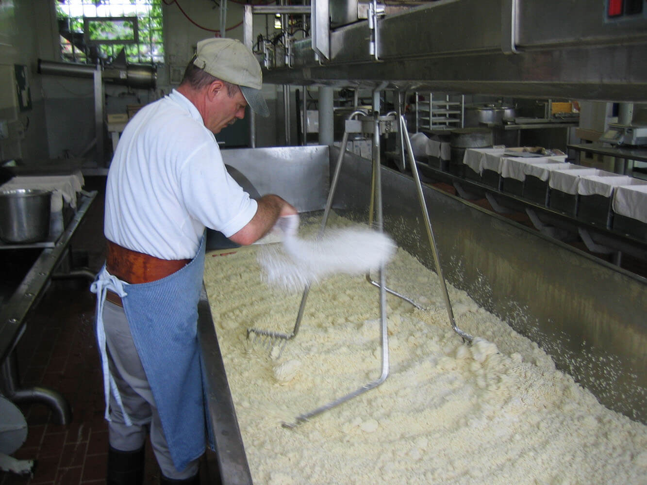 Wisconsin cheese factory tours Artisan cheesemaking Union Star Cheese