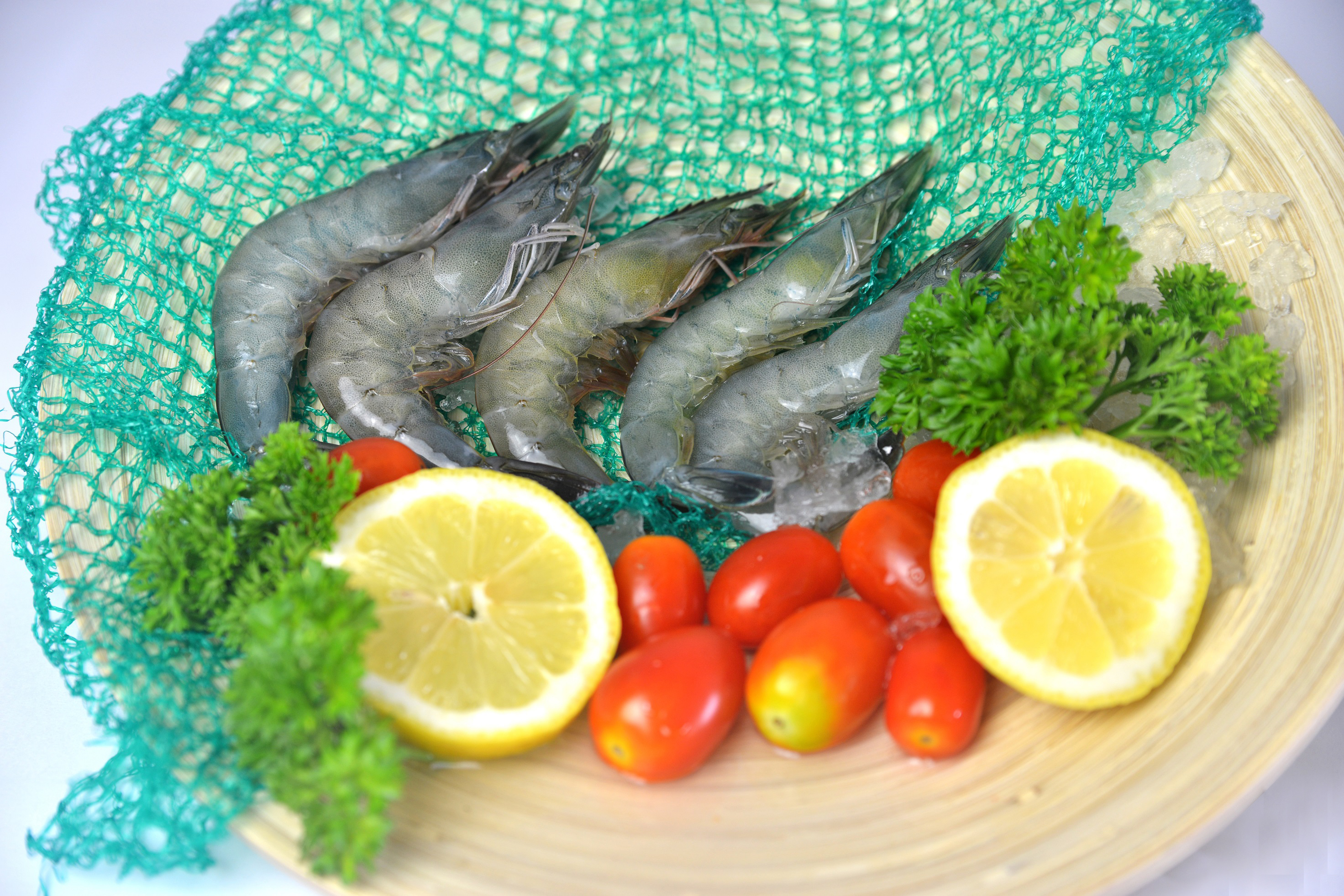 Unipool Trading Crab Supplier in Singapore