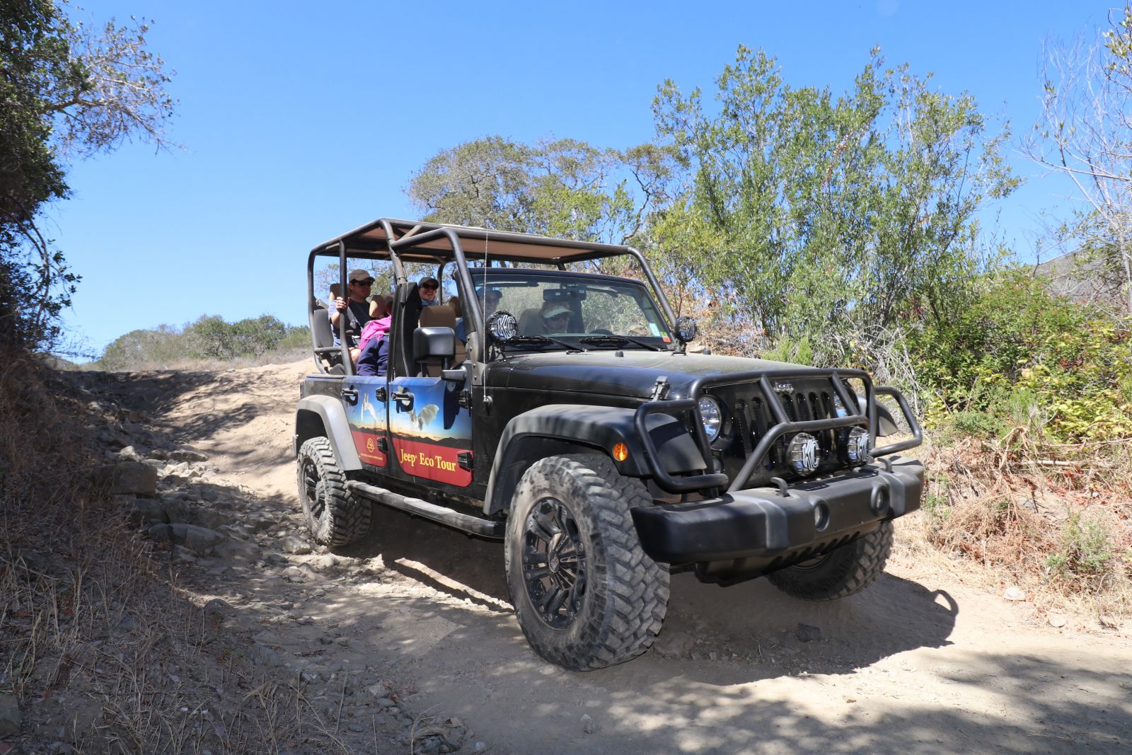 Explore Catalina on a Jeep EcoTour Trip Ideas Unique Inns