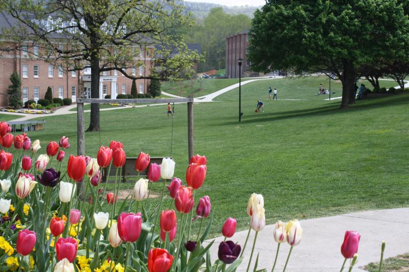 Young Harris College Campus Meeting Venues Unique Venues