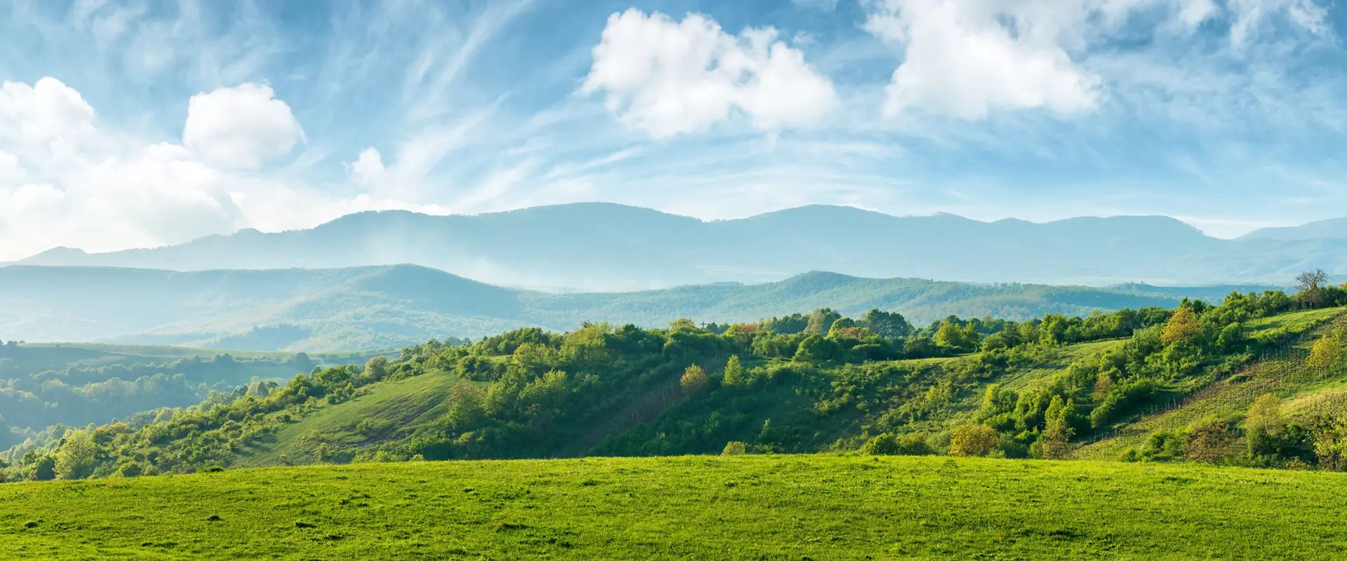 United Country Real Estate Catalog