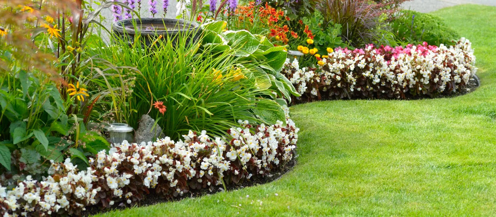 Find the Best Landscaping and Tree Services in Your Area