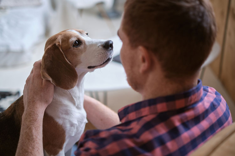 Can Emotional Support Animals Help with Addiction Recovery?