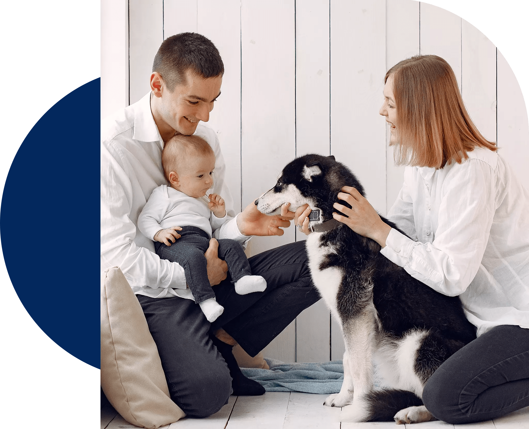 Pet Insurance Dubai Unitrust