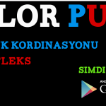 Color Push oyunu refkles oyunu