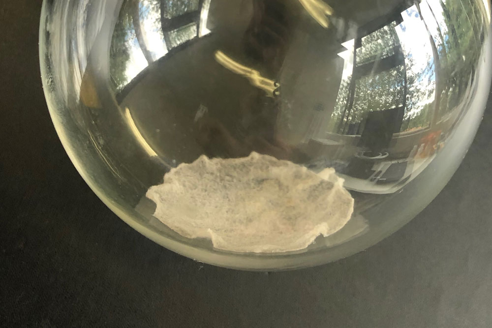 Root Exudates Unium Bioscience Limited