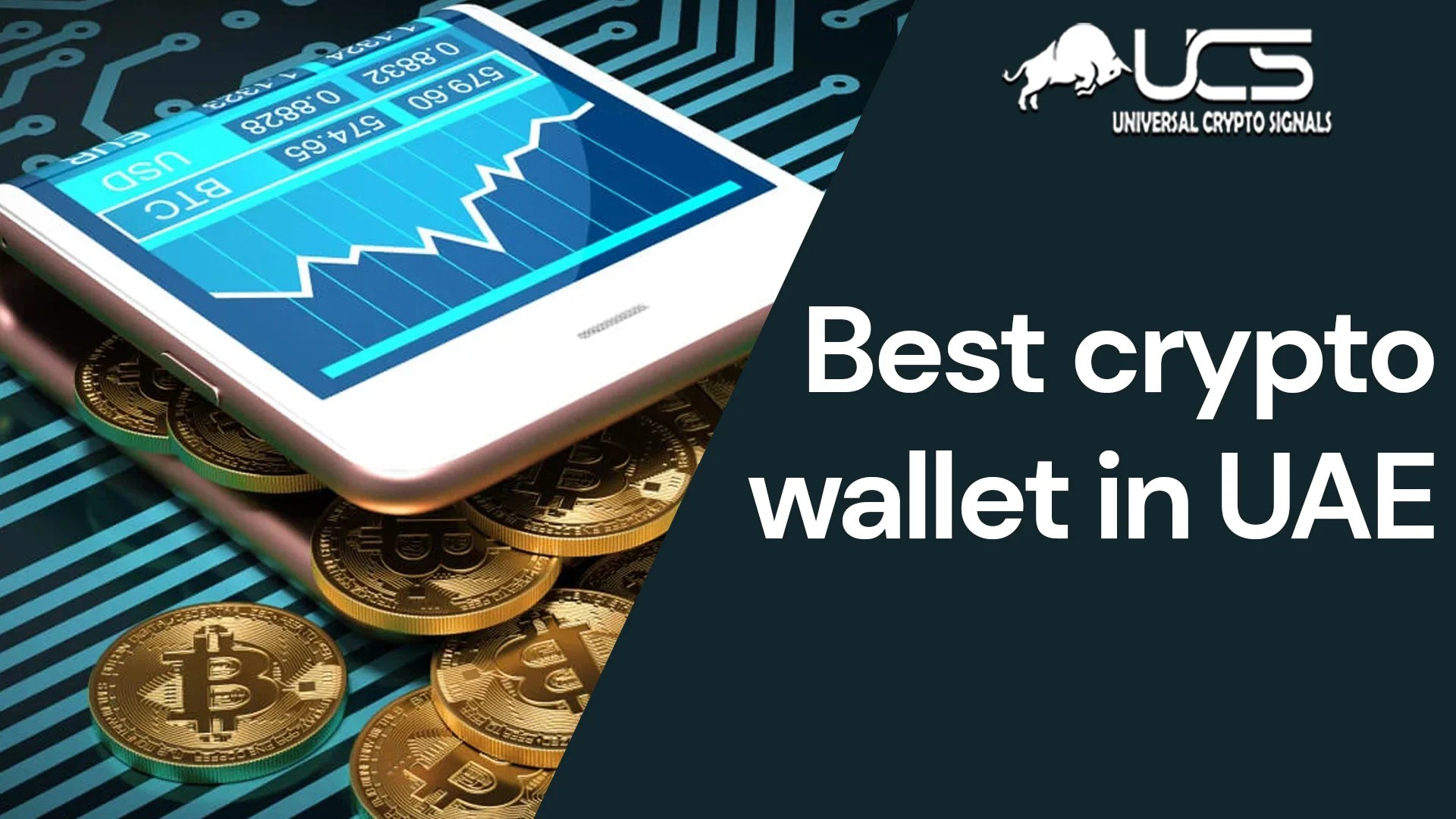 Best Crypto Wallet in UAE Find Your Perfect Fit Wallet with UCS