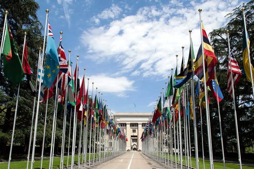 The Best International Relations Schools In Canada 2023 University