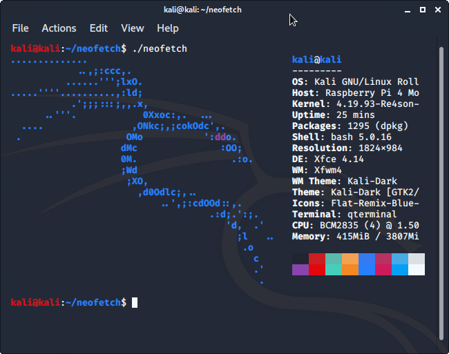 Kali Linux 2020.1a on Raspberry Pi 4