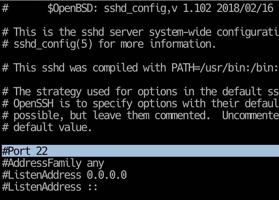 SSH port