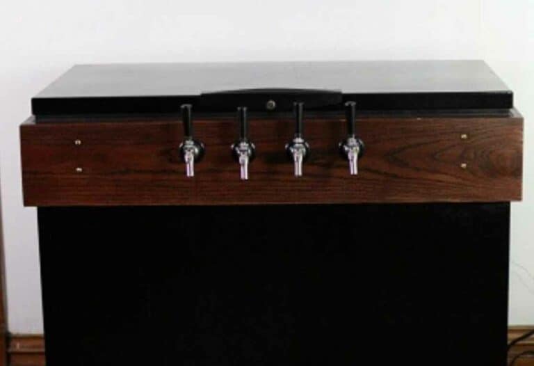 20 Best DIY Beer Keezer Plans
