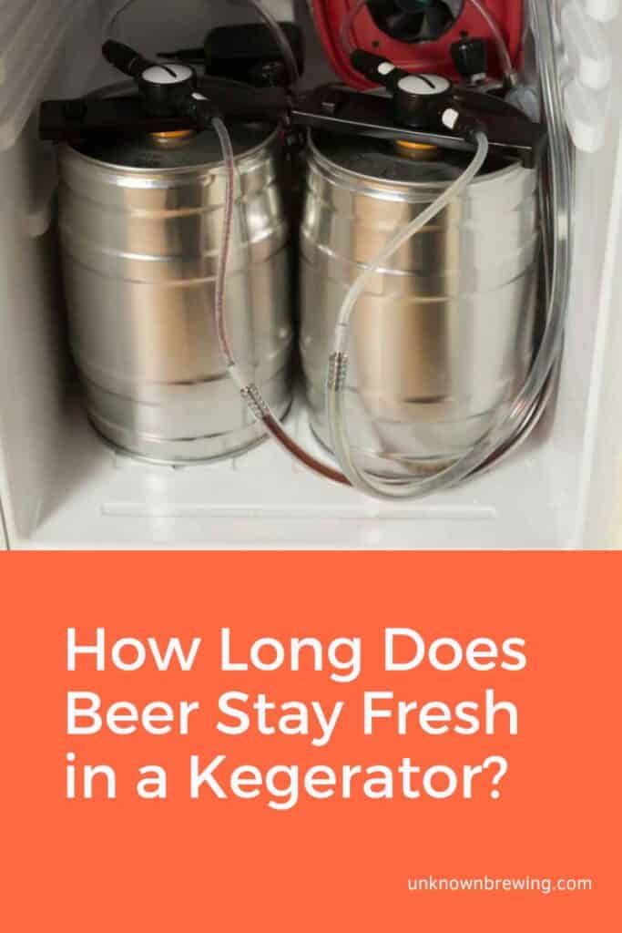 How Long Does Beer Stay Fresh in a Kegerator?