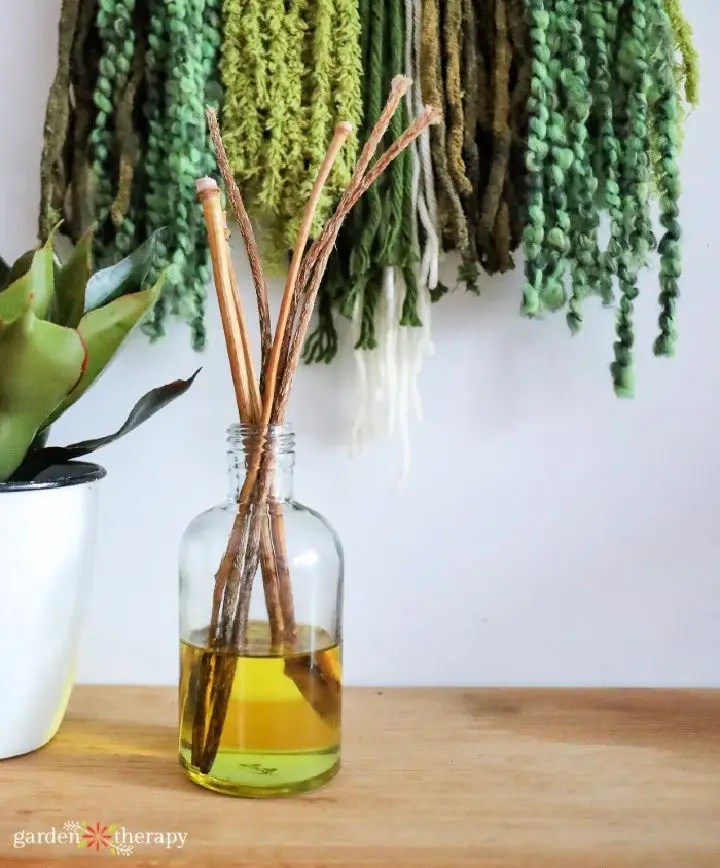 25 Homemade DIY Reed Diffuser Ideas