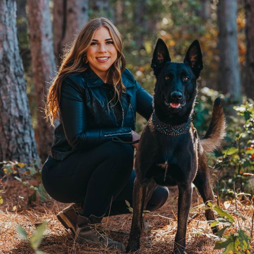 Dog Trainers In Minneapolis, Minnesota Unleashed K9