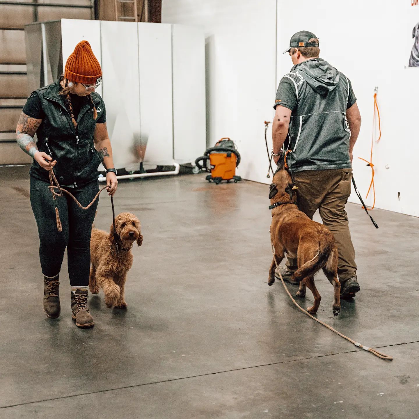 Dog Trainers In Minneapolis, Minnesota Unleashed K9