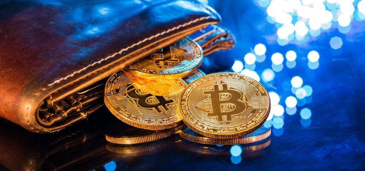 Nickel Digital Asset Management surveys crypto investors