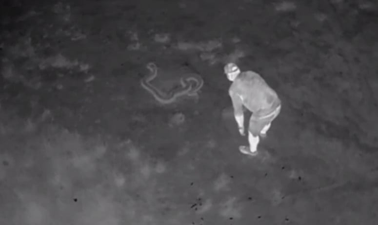 VolAero Drones Track Pythons With Thermal Cameras Unmanned Systems