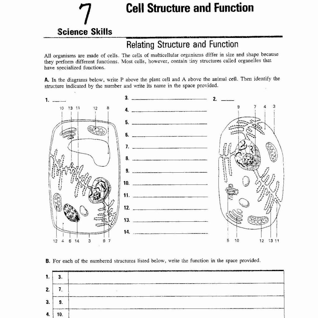 Cell Structures Worksheets