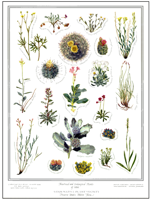 Utah Native Plant Society Home Page