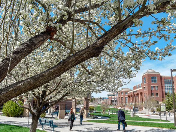 Unr Spring Break 2023 Visit | University Of Nevada, Reno