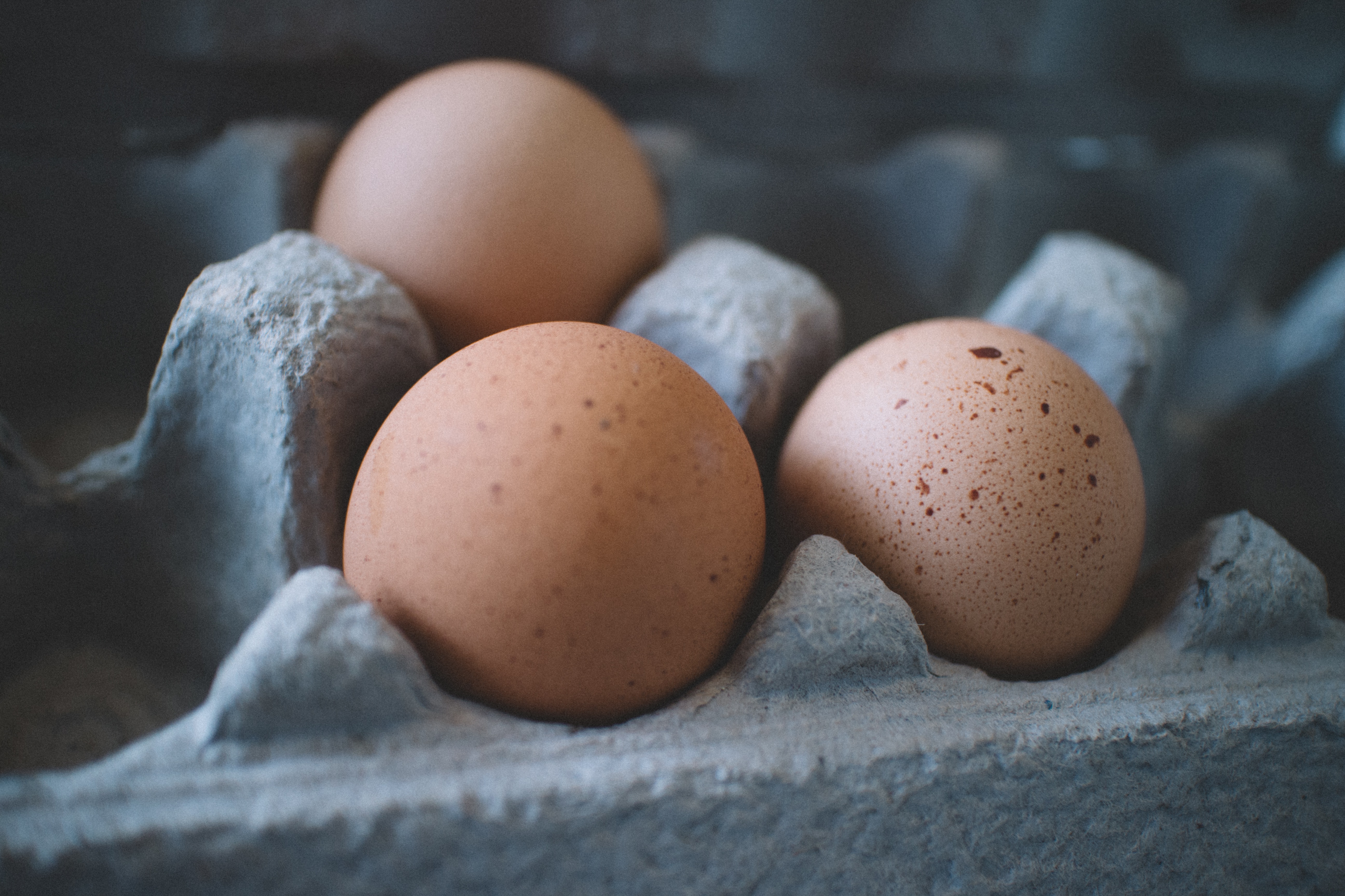 UP 12 Tips for Shipping Fresh, Refrigerated and Frozen Goods