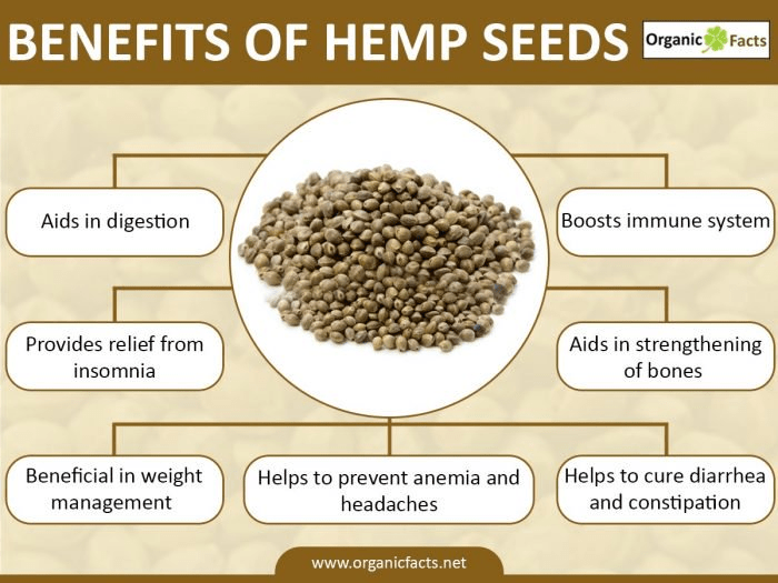 What Are the Benefits of Hemp Seeds? Up To Date Health News
