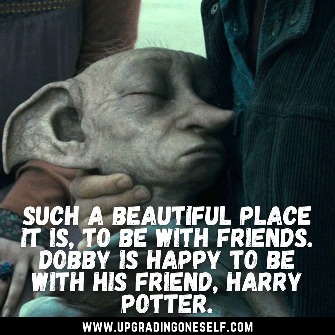 Dobby quotes Upgrading Oneself