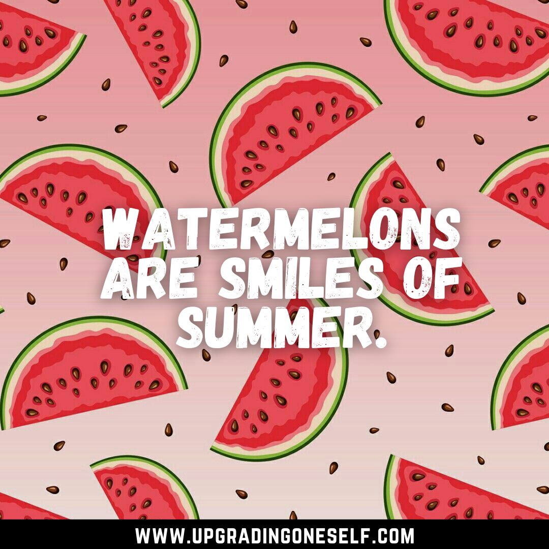 watermelon quotes Upgrading Oneself
