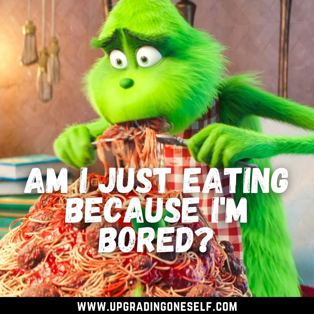 The Grinch Best Quotes