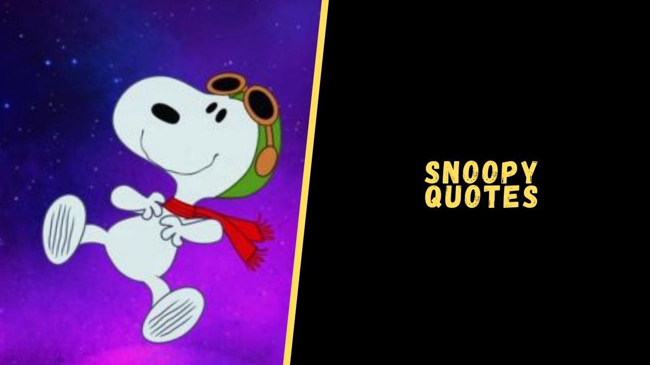 Top 15 Motivational Quotes From Snoopy To Make Your Day