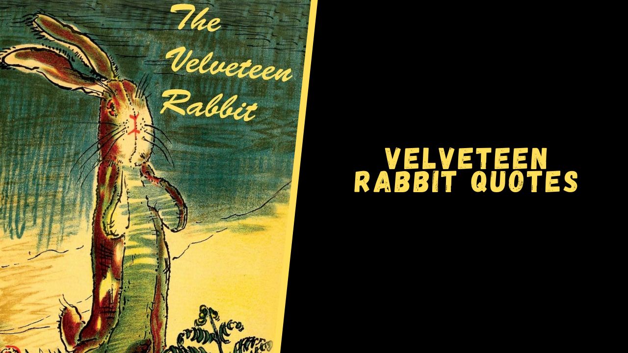 Top 15 Quotes From The Velveteen Rabbit To Blow Your Mind