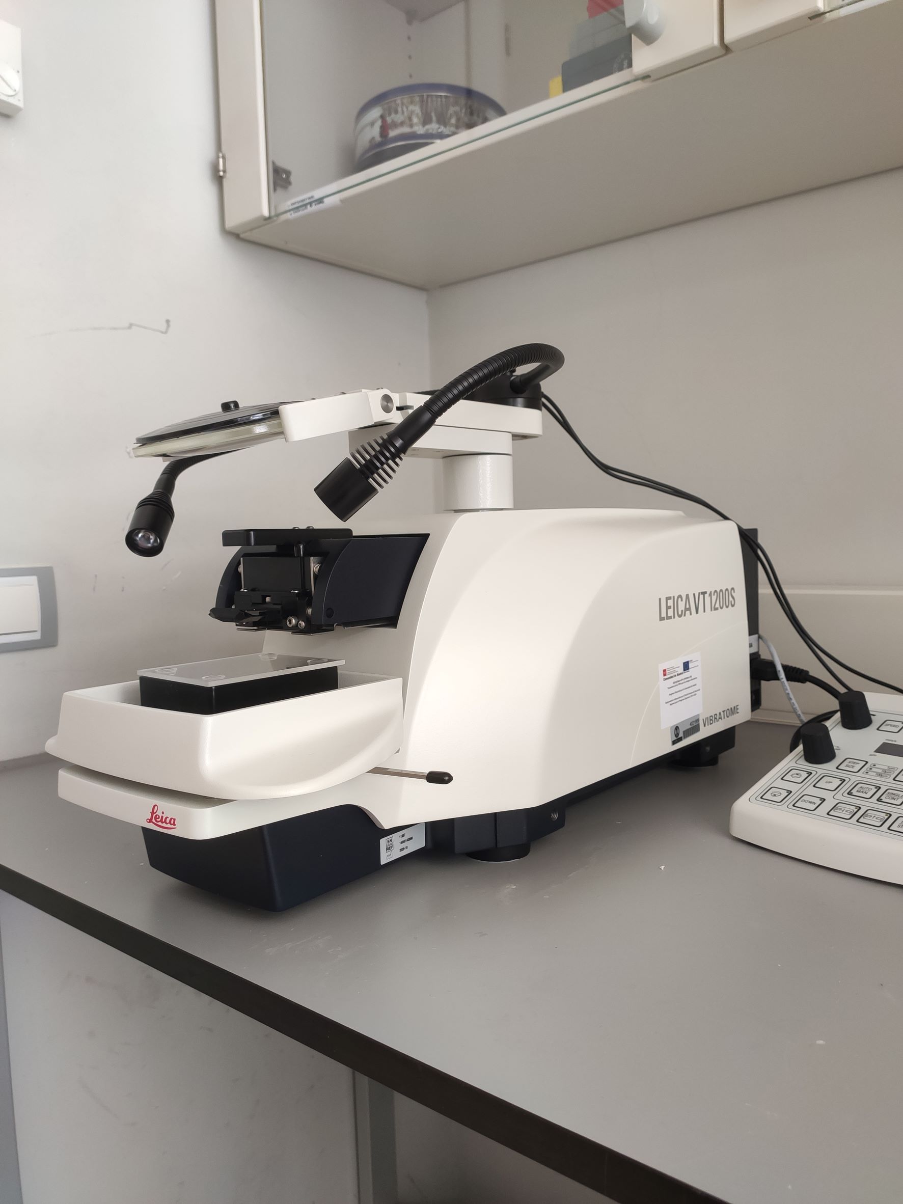 Leica VT1200 S vibratome archivos - HUB Digital de Innovación