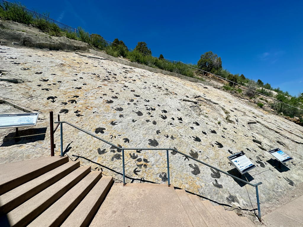 Dinosaur Ridge Review A Prehistoric Trek with WorldClass Tracks [2023