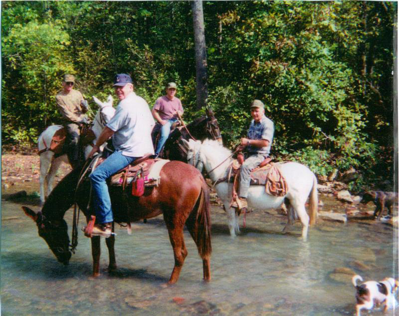 Horseback Riding Upper Buffalo River Association