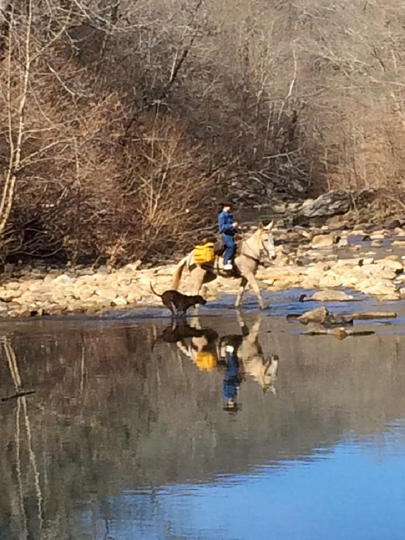 Horseback Riding Upper Buffalo River Association