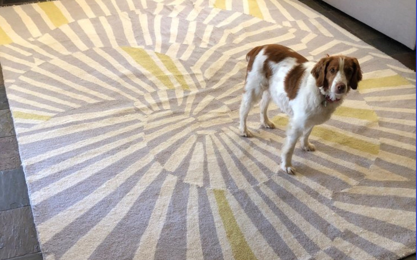 Placerville Cleaning Services Carpet Cleaners Upper Level
