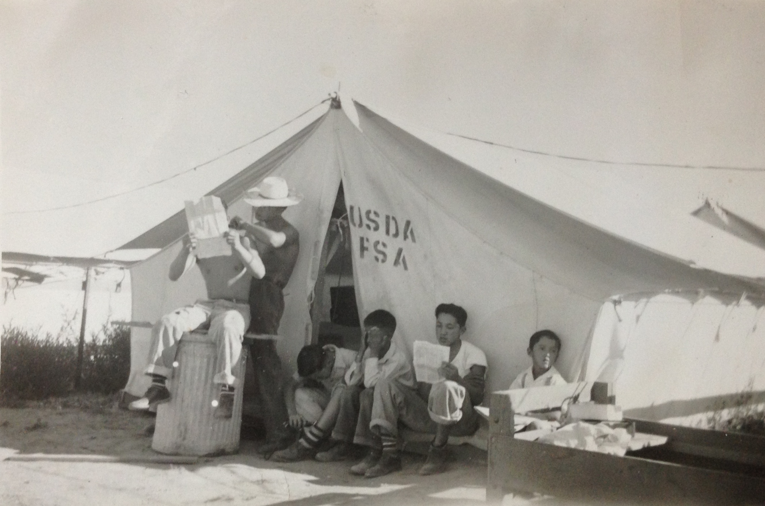 Photo Galleries Uprooted