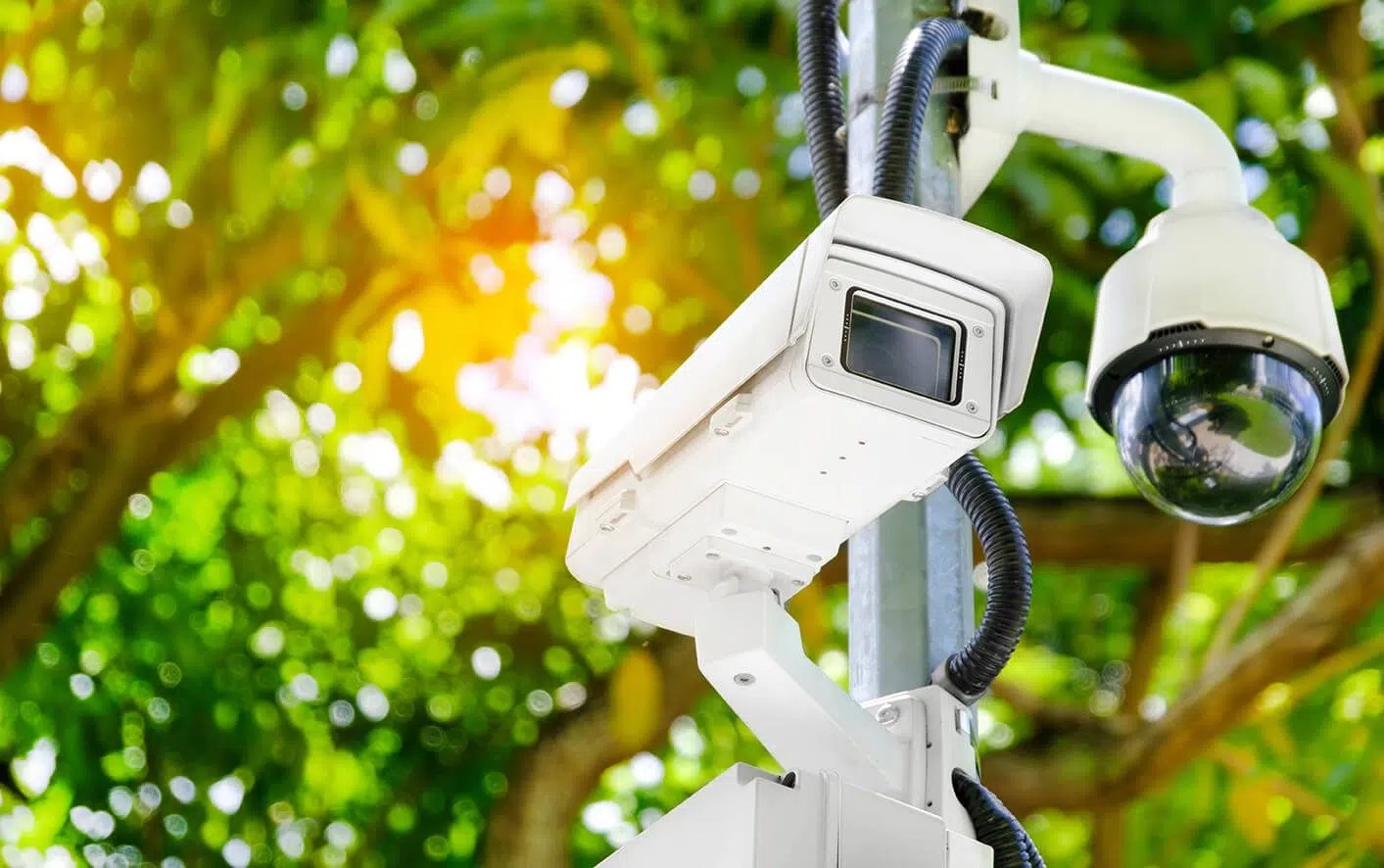 6 Different Types of Security Cameras