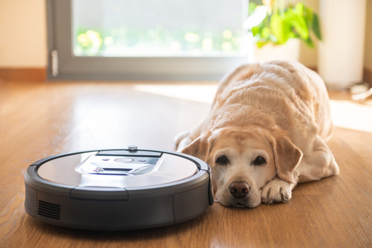 Design And Features Of Robot Vacuums What Sets Ecovacs Apart? Urban