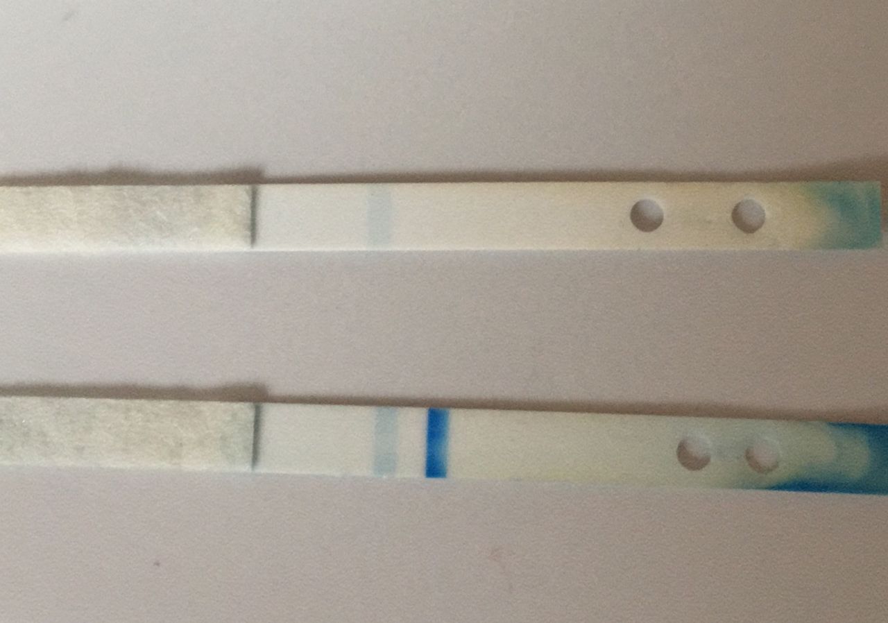 Clearblue Digital mit Wochenbestimmung auseinandergebaut urbia.de