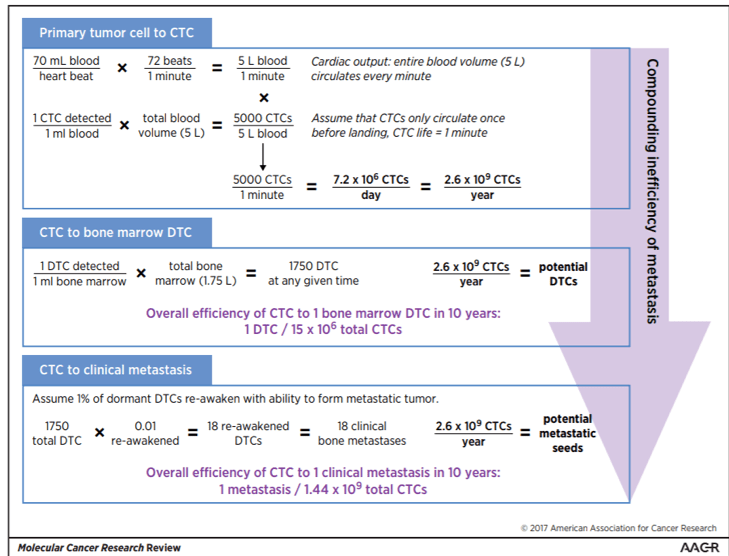 Prostate Cancer Life Expectancy Calculator