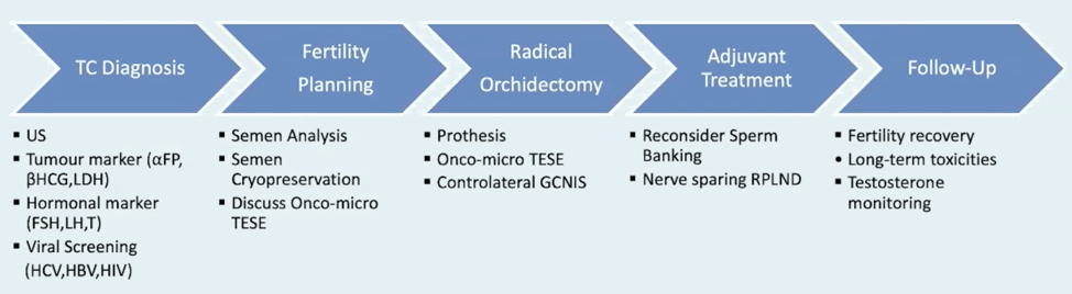 Nanotechnology Management of Urologic Cancer