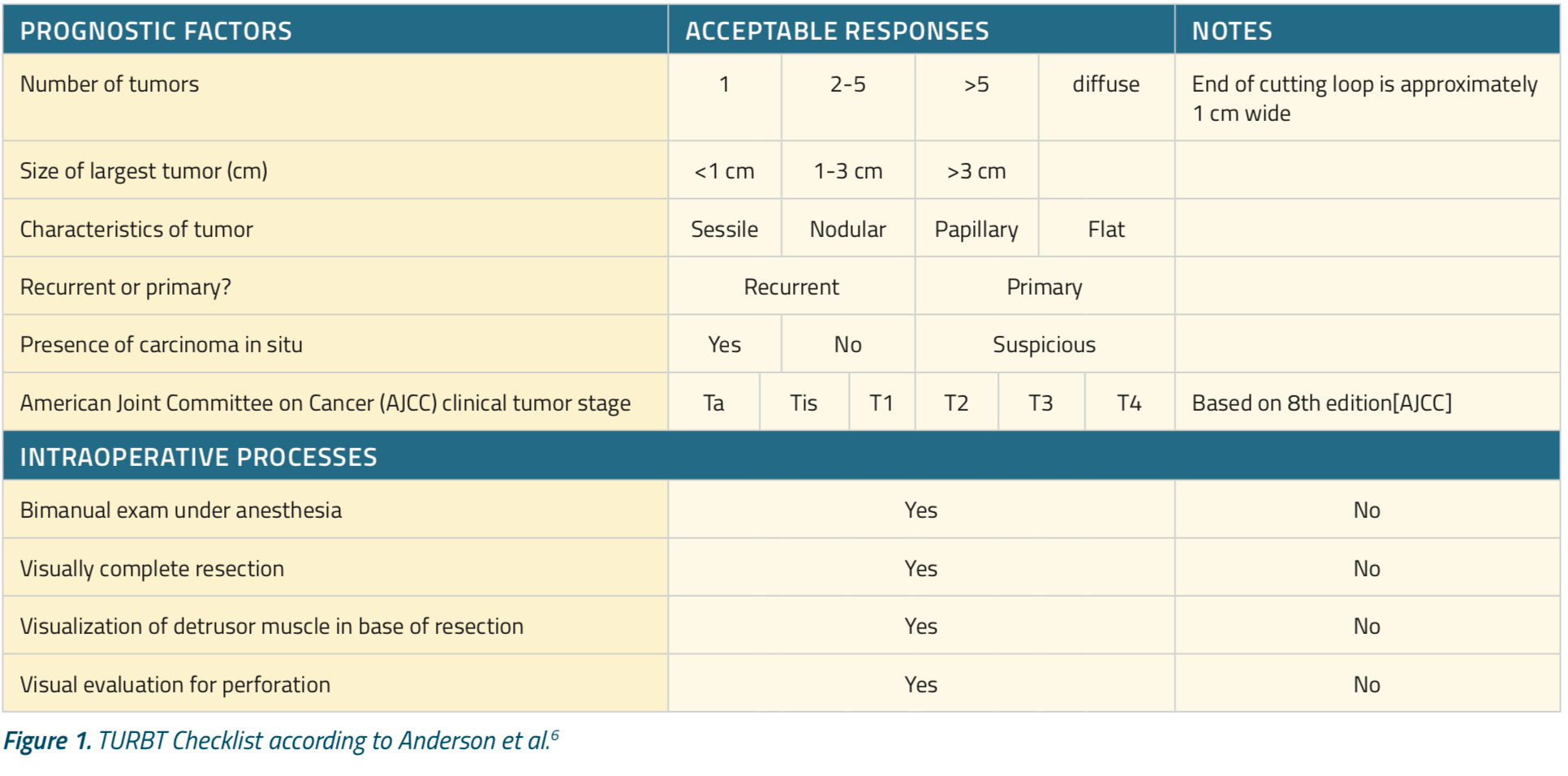 Optimizing TURBT and Optical Diagnostics in Bladder Cancer