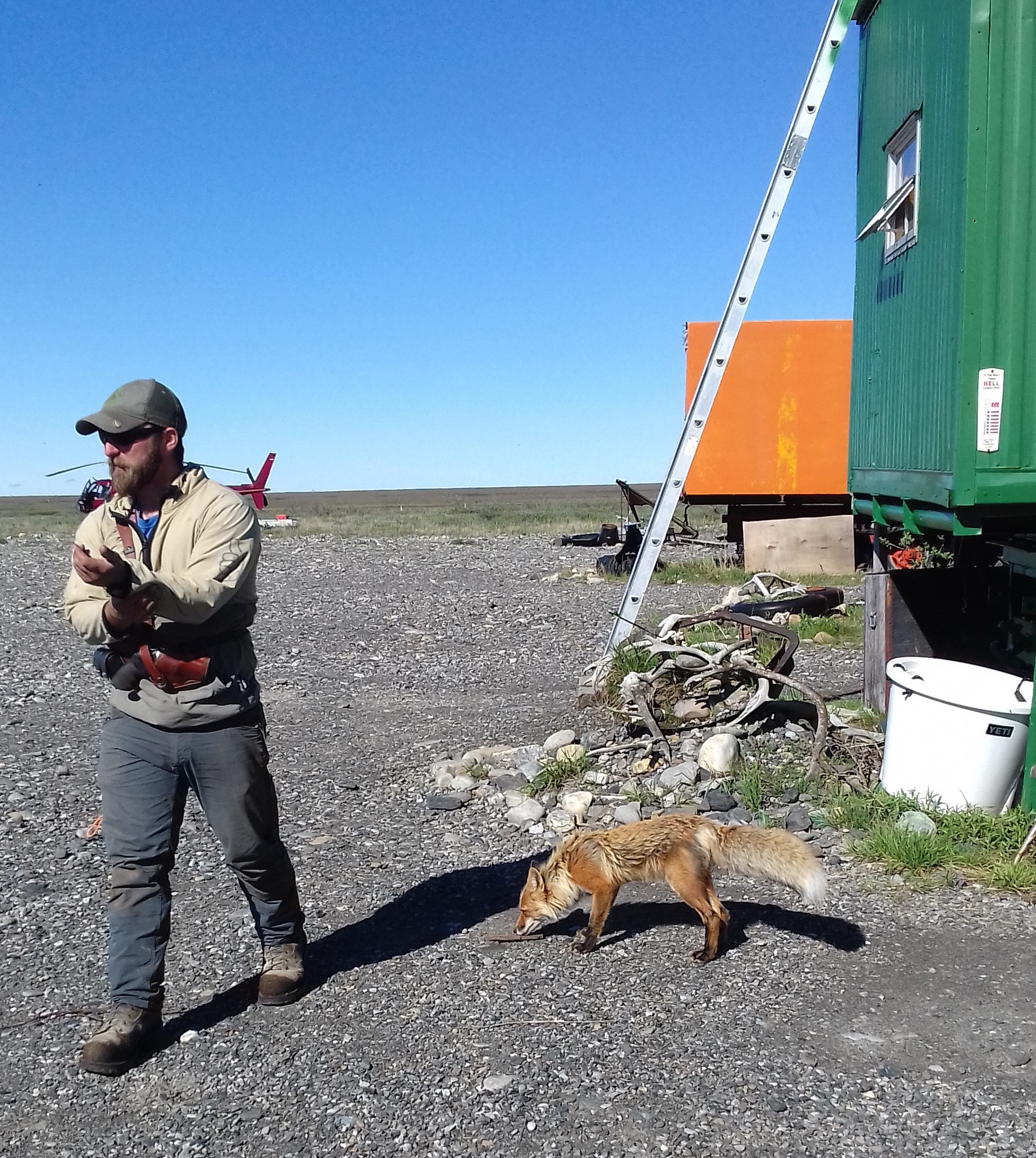 USArray 2016 Alaska TA Field Season